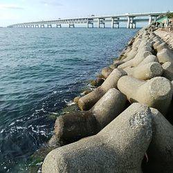 穴釣りのちメバリング