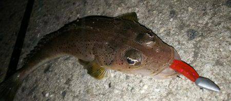 ドリームアップ