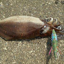 なんとか一杯 確保