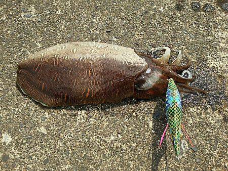なんとか一杯 確保