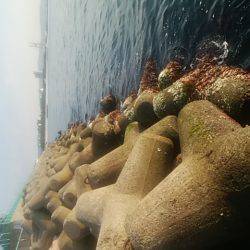 穴釣りのちメバリング