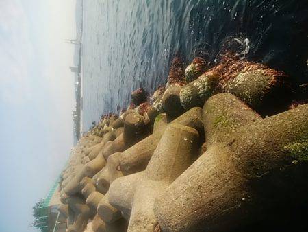 穴釣りのちメバリング