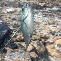 1ヶ月ぶりの磯釣り