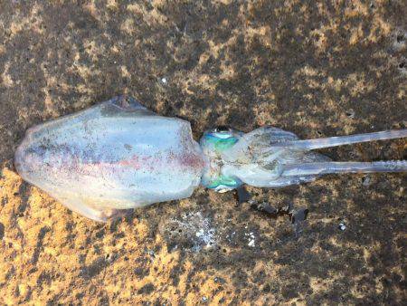 初めての場所で