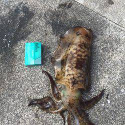 ヤエン短時間勝負