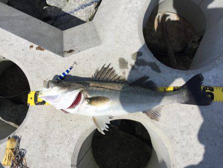 磯津でショアジギ！