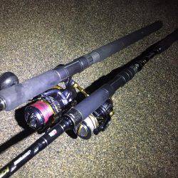 イナダは渋め…