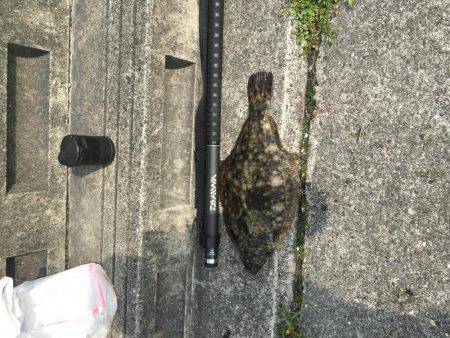 マリーナシティ釣り大会