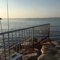 泉南サーフメバリング