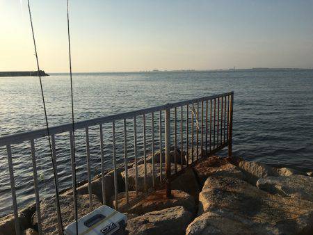 泉南サーフメバリング