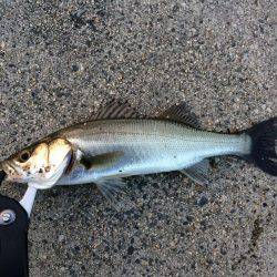 タイミングは大事です。