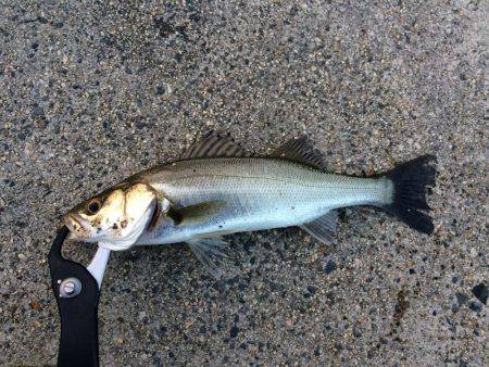 タイミングは大事です。