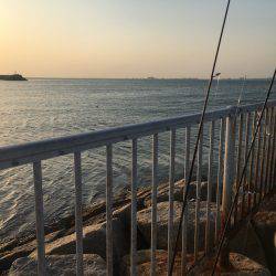 強風下でメバリング