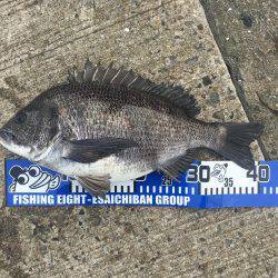 落とし込みにー！