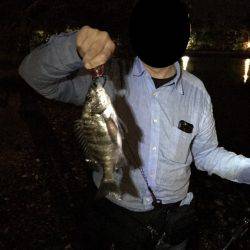 初めての天橋立