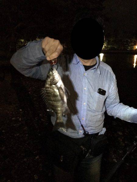 初めての天橋立