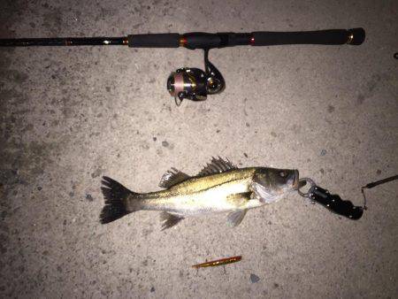 チーバスだなー