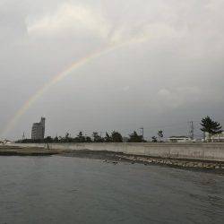 キス居てたー！