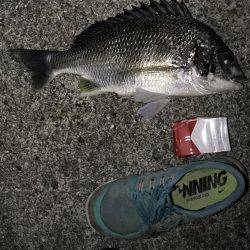 大判、小判じゃなくて銀登場!