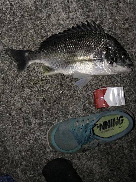 大判、小判じゃなくて銀登場！