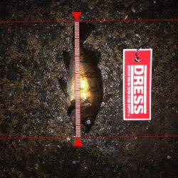 メバリング！！！