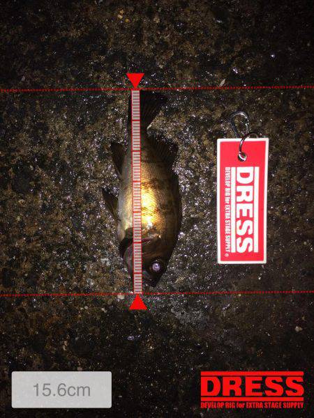 メバリング！！！