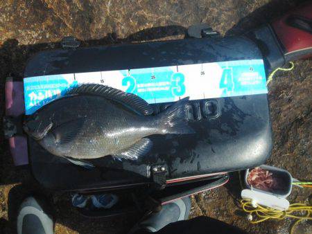 今回もグレ厳しかった・・