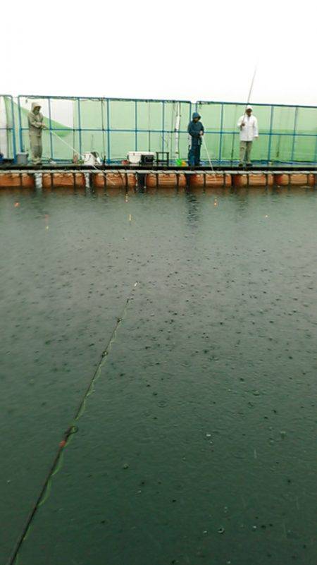 カタタの釣り堀にてカンパチ、ヒラス狙い