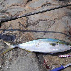 ショアジギボウズではない