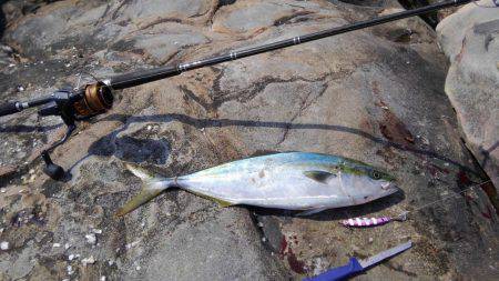 ショアジギボウズではない