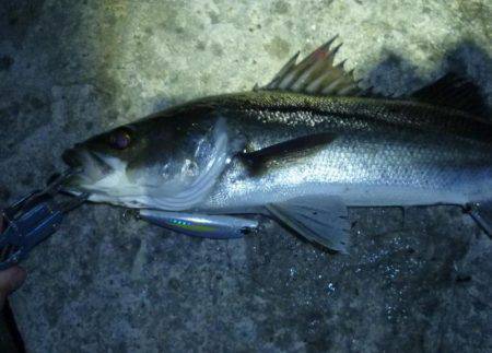 バチパターンじゃなくて．．．