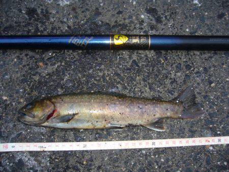 今年初の鳥取県河川釣行