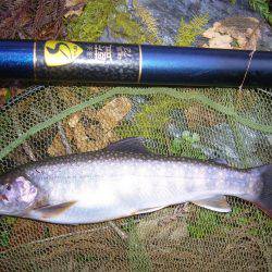 鳥取県河川釣行