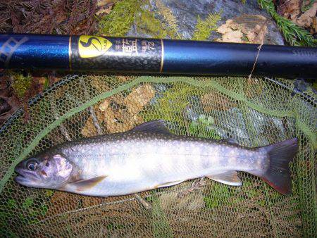 鳥取県河川釣行