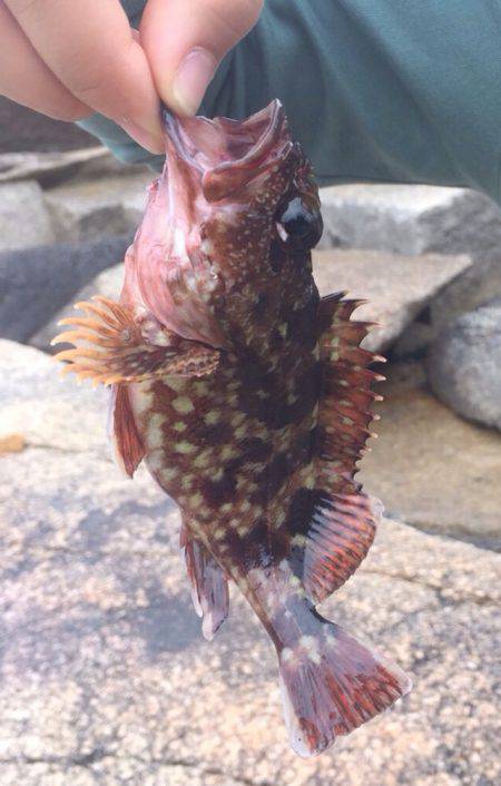 3ヶ月ぶりの獲物