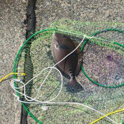 浜吉丸でいく小浦沖一文字