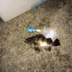 ダブルフロート！