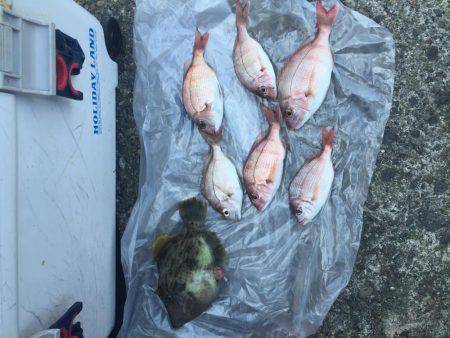 浜吉丸でいく小浦沖一文字2