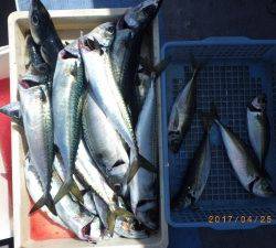 石川丸 釣果