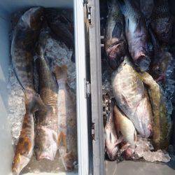 気仙沼　つり丸 釣果