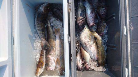 気仙沼　つり丸 釣果