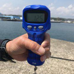 春イカ！初キロオーバー！！