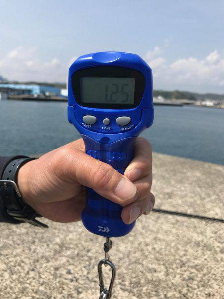 春イカ！初キロオーバー！！