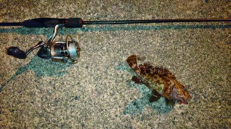 メバリングでタケノコ