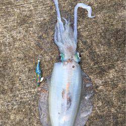 朝まずめ雨が降る前に