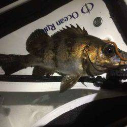 弱い流れの中、強めの流れを発見し・・・