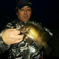 春のメバル祭り開催！