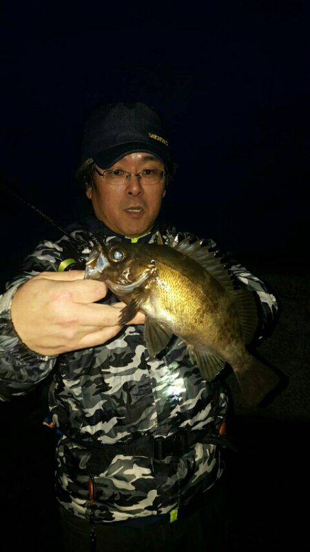 春のメバル祭り開催！