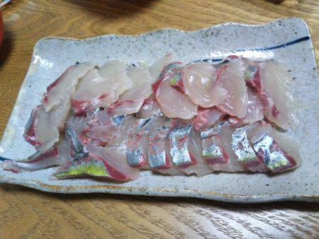 海上釣堀オーパ！シマアジ祭り