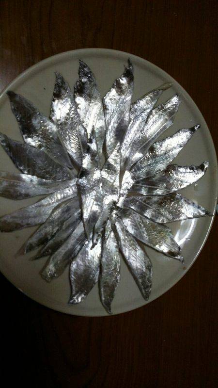 初投稿　太刀魚大好きたま吉